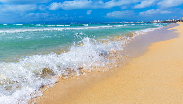 Bay of Palma Jet Ski Tour - Foto 5