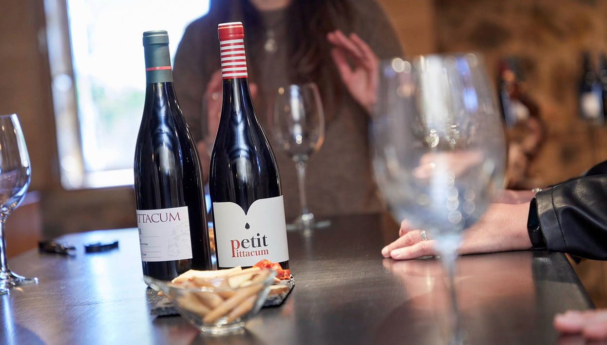 Visita a Viñedos y Bodegas Pittacum - Foto 1
