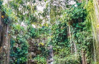 Excursión a Chichén Itzá, Cobá y cenote Ik-Kil - Foto 7
