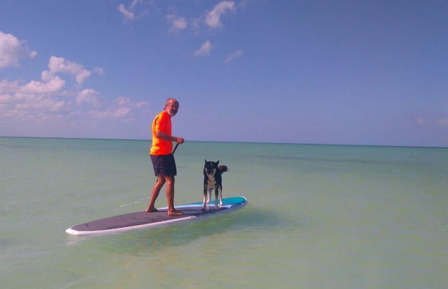 Paddle à Holbox - Photo 7