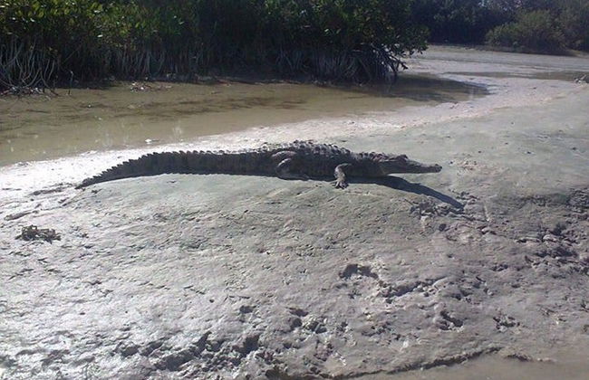 Paddle à Holbox - Photo 4