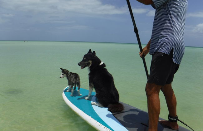 Paddle à Holbox - Photo 3