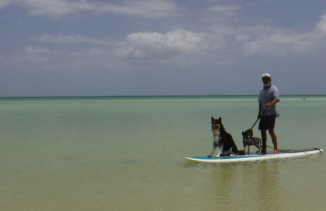 Paddle à Holbox - Photo 8