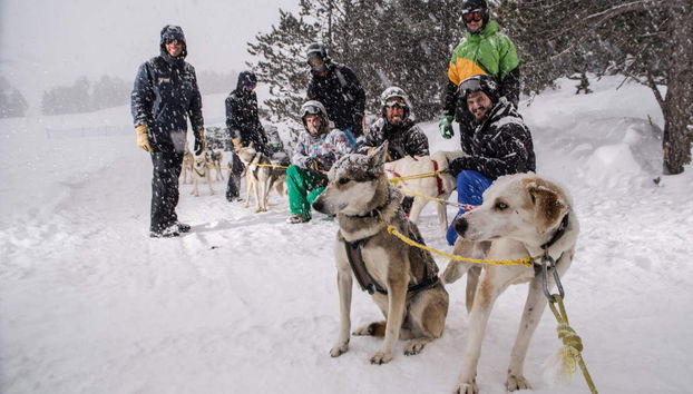 Grandvalira Dog Sled Ride - Photo 2