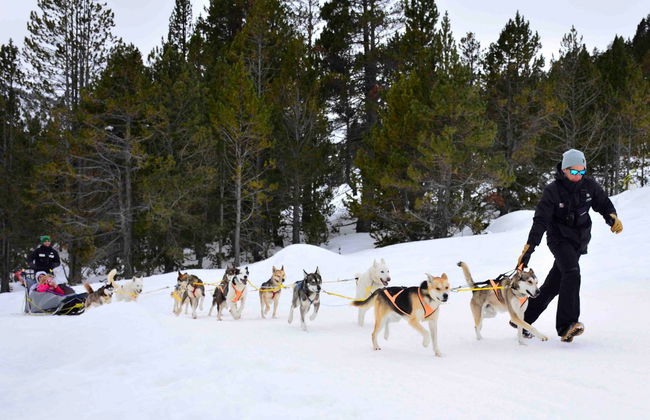 Paseo en trineo de perros por Grandvalira - Foto 6