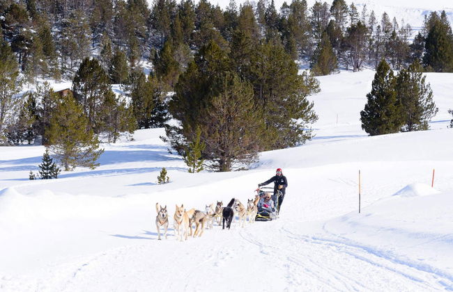 Grandvalira Dog Sled Ride - Foto 5