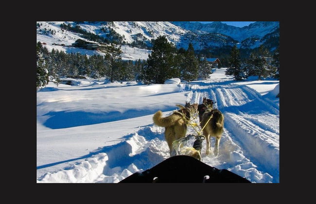 Paseo en trineo de perros por Grandvalira - Foto 3
