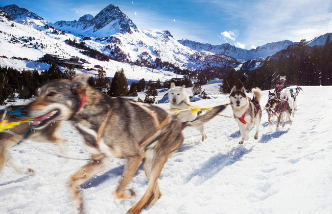 Paseo en trineo de perros por Grandvalira - Foto 5