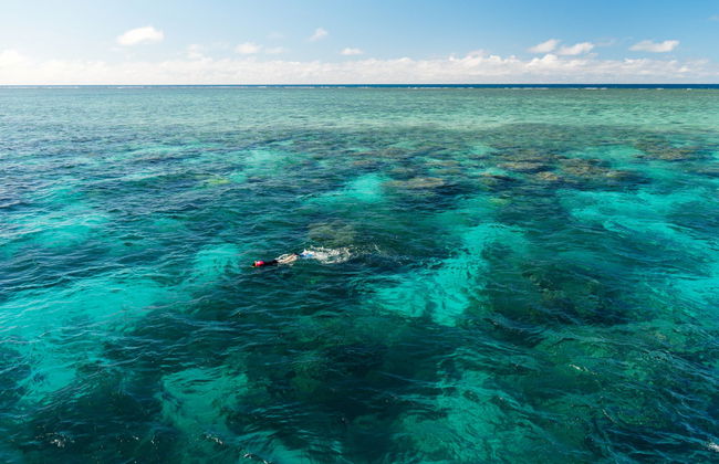 Bautismo de buceo en la Gran Barrera de Coral - Foto 4