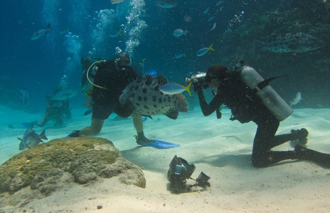Bautismo de buceo en la Gran Barrera de Coral - Foto 6