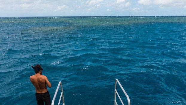 Introduction to Diving in the Great Barrier Reef - Foto 2