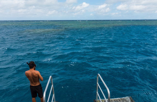 Bautismo de buceo en la Gran Barrera de Coral - Foto 2