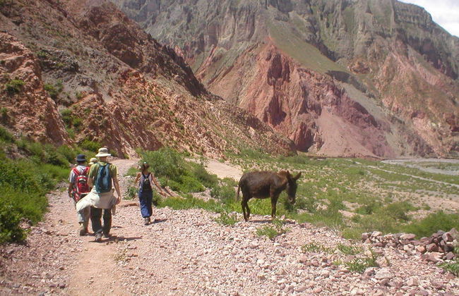 Excursión a Iruya - Foto 5
