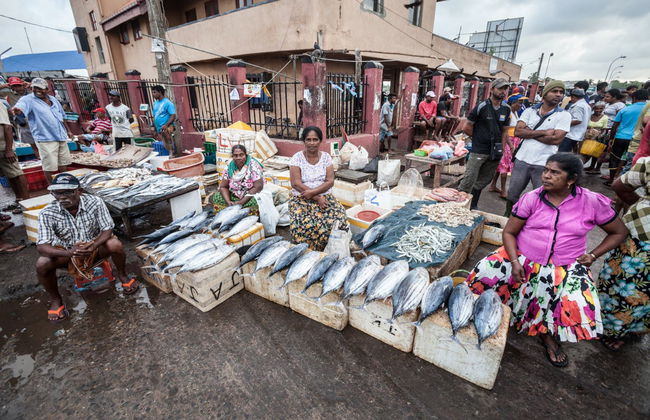 Negombo Tuk Tuk Tour + Boat Trip - Photo 4