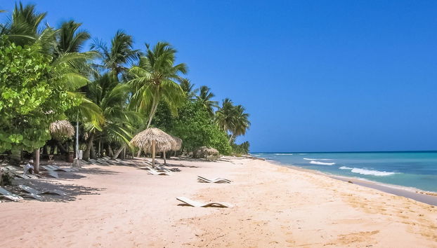 Saona Island Beach Tour - Photo 4