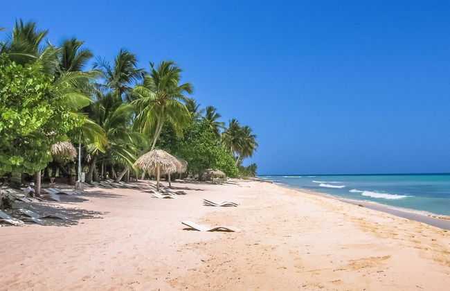 Saona Island Beach Tour - Photo 4