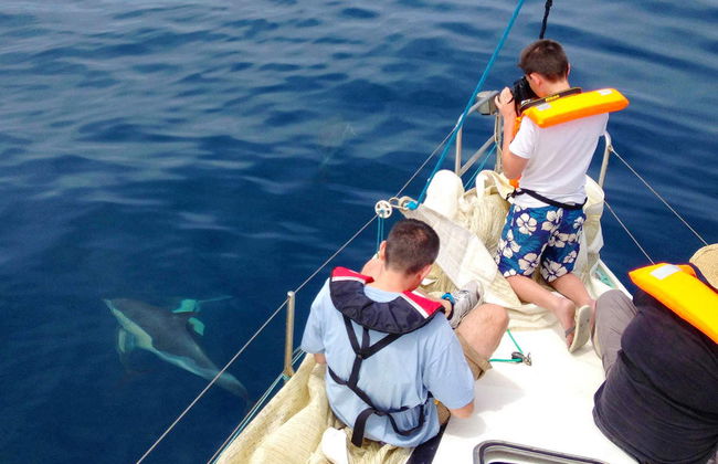 Avistamiento de delfines en Fuzeta - Foto 4