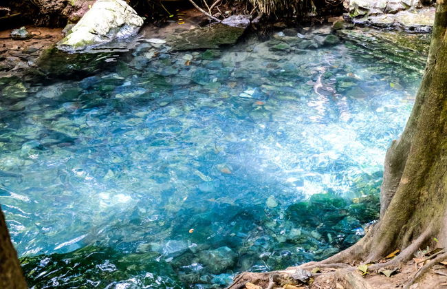 Excursión al Agujero Azul - Foto 6