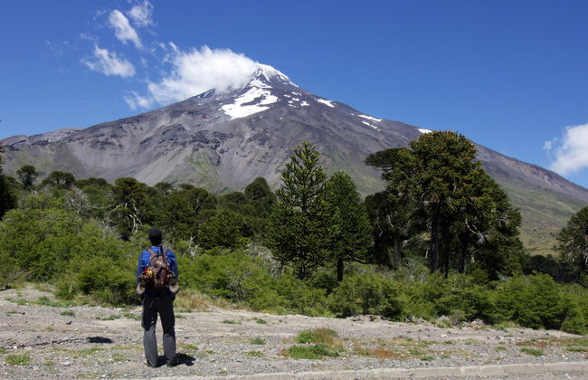 Trekking al vulcano Lanín - Foto 3