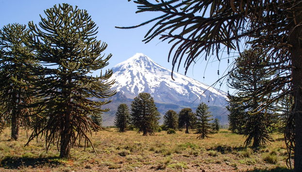 Trekking al vulcano Lanín - Foto 5