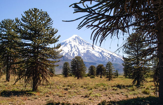 Trekking al vulcano Lanín - Foto 5