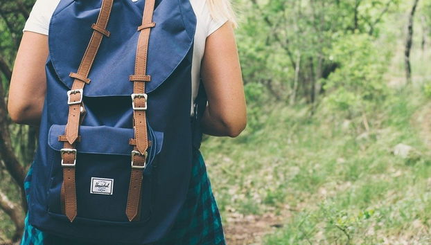 Liamuiga Volcano Hiking Activity - Photo 4