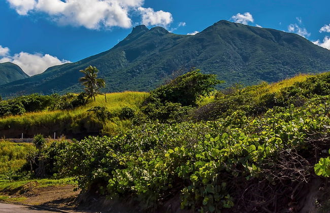 Liamuiga Volcano Hiking Activity - Photo 2