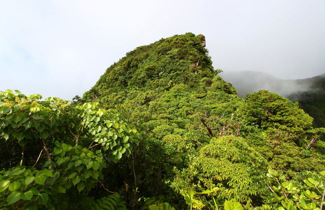 Liamuiga Volcano Hiking Activity - Photo 1
