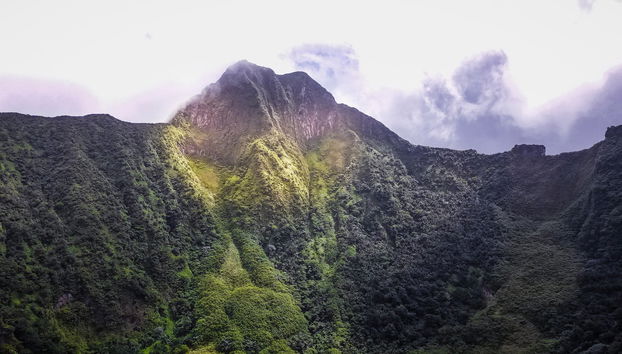 Liamuiga Volcano Hiking Activity - Photo 3
