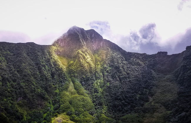 Liamuiga Volcano Hiking Activity - Photo 3
