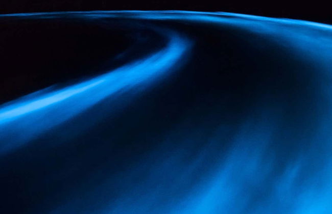 Excursión nocturna a la Laguna Luminosa - Foto 6