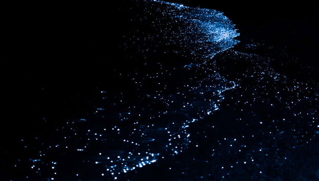 Excursión nocturna a la Laguna Luminosa - Foto 5