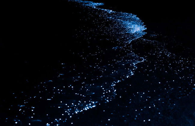 Excursión nocturna a la Laguna Luminosa - Foto 5