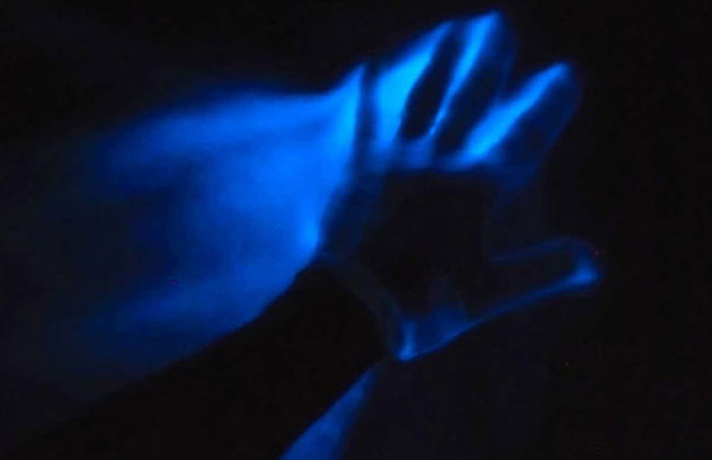 Excursión nocturna a la Laguna Luminosa - Foto 3