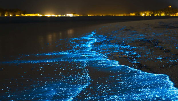 Excursión nocturna a la Laguna Luminosa - Foto 4