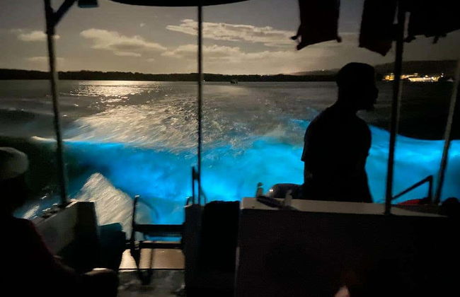 Luminous Lagoon Night Cruise - Foto 1