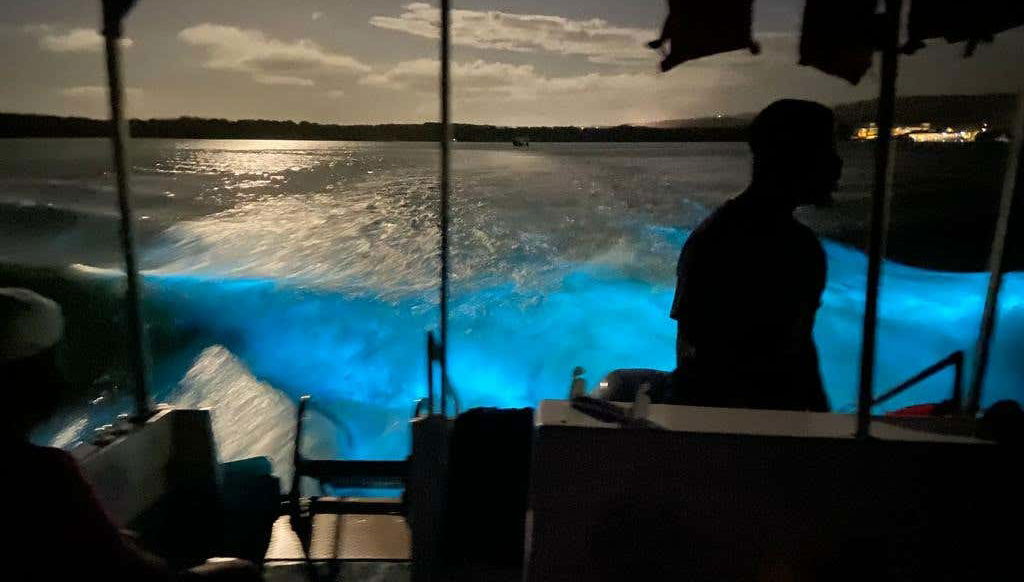 Luminous Lagoon Night Cruise - Foto 1