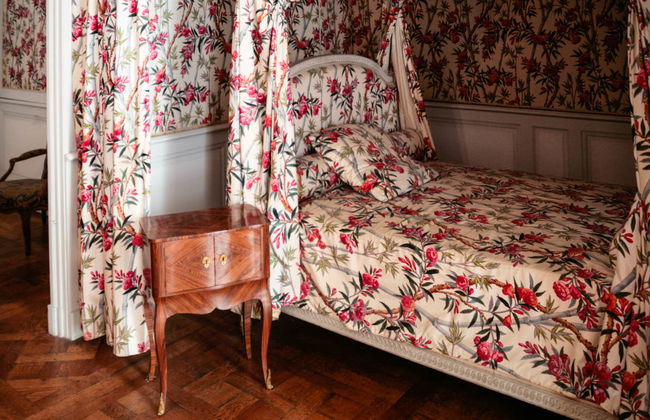 Entrada al castillo de Chambord - Foto 6