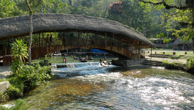 Excursão a Rioja e Moyobamba - Foto 3