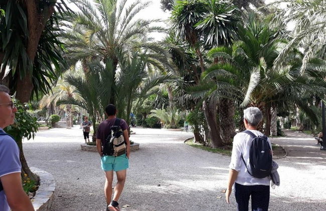 Excursión a la isla de Tabarca y el palmeral de Elche - Photo 2