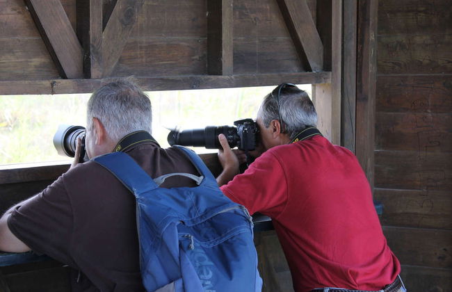 Visite du delta de l’Èbre - Photo 7