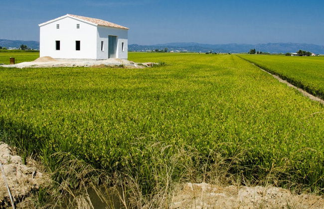 Visite du delta de l’Èbre - Photo 8