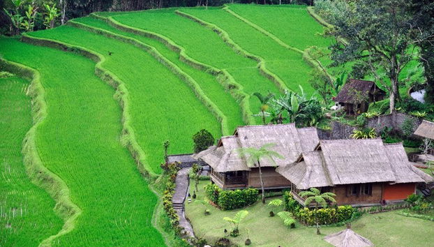 Excursion libre à Bali - Photo 3