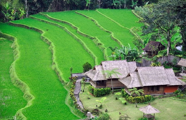 Excursion libre à Bali - Photo 3