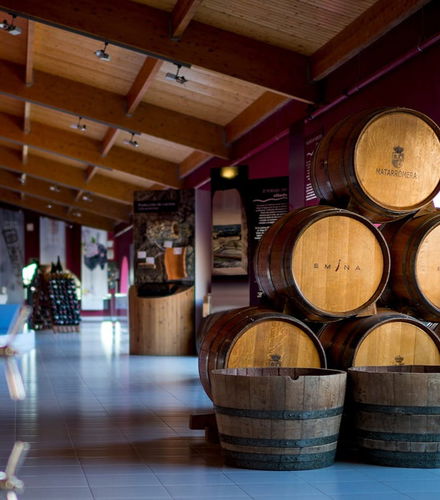 Foto de Visita a la Bodega Emina Ribera