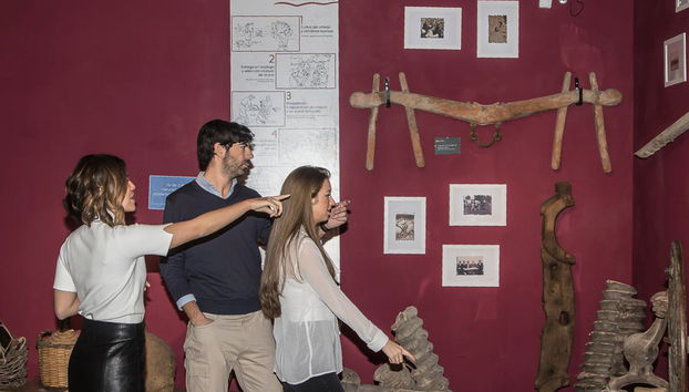 Visita a la Bodega Emina Ribera - Photo 3