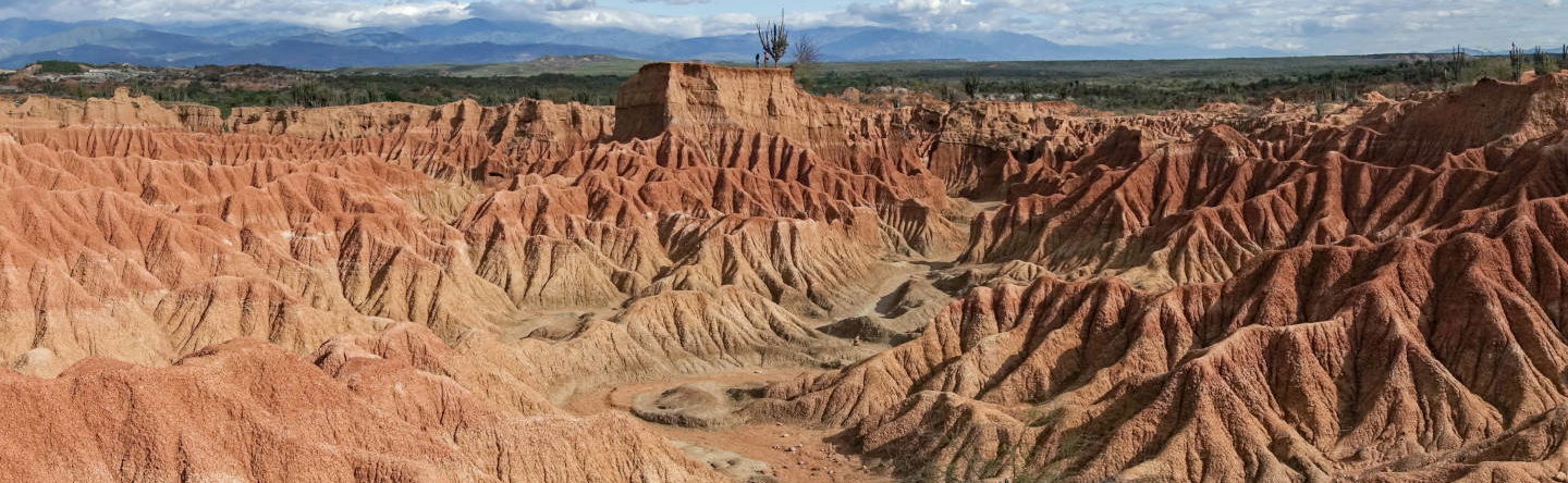 Excursión al Desierto de la Tatacoa - Foto 1