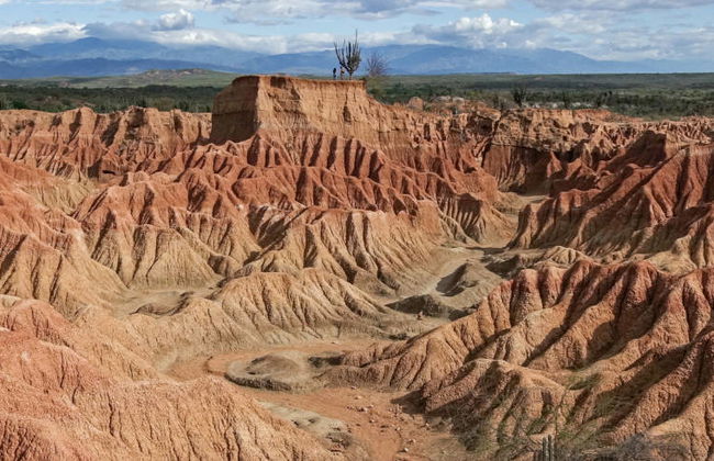 Excursión al Desierto de la Tatacoa - Foto 1