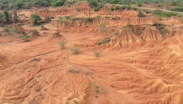 Excursión al Desierto de la Tatacoa - Foto 2