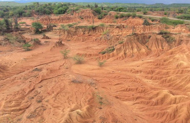Excursión al Desierto de la Tatacoa - Foto 2